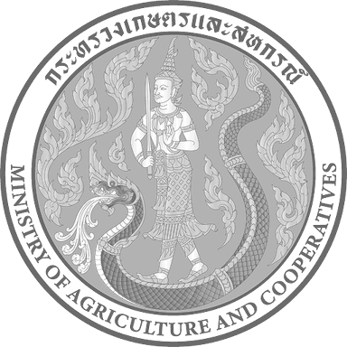 Description of the image 10